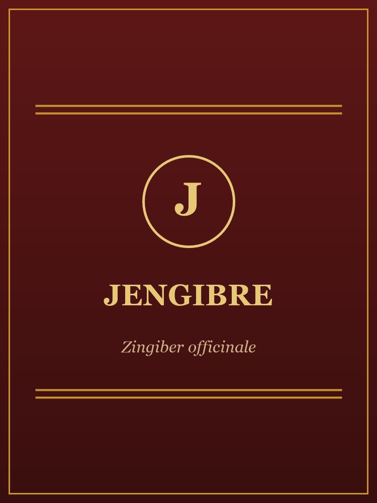 Jengibre