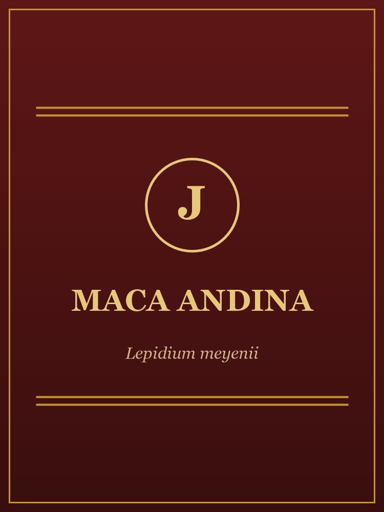 Maca Andina